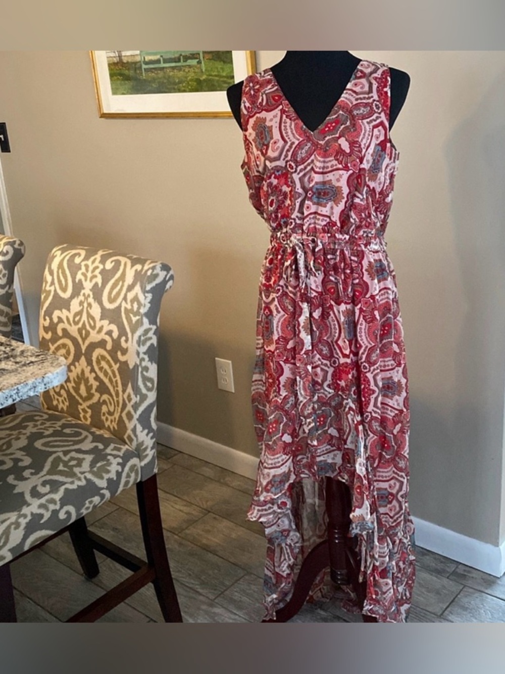 Ramy Brook Savanna Printed High-Low Dress - Picture 6 of 9
